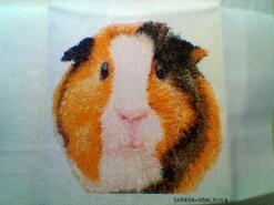Cross stitch square for Beth M's quilt