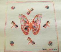 Cross stitch square for Seraphina's quilt