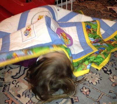 Photo of Ris quilt