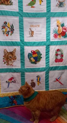 Photo of Grace Os quilt