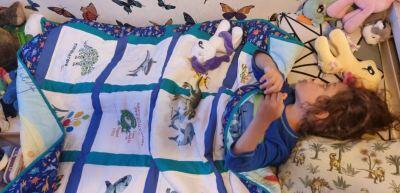 Photo of Phoenixs quilt