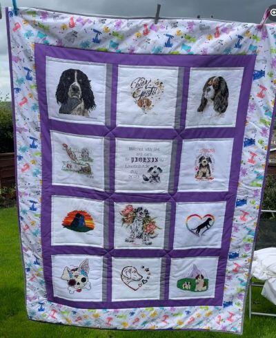 Photo of Phoenix Hs quilt