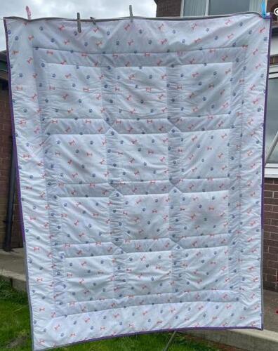 Photo of Phoenix Hs quilt