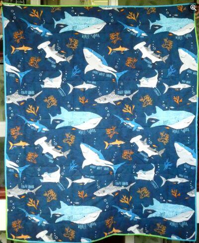 Photo of Matthew Bs quilt
