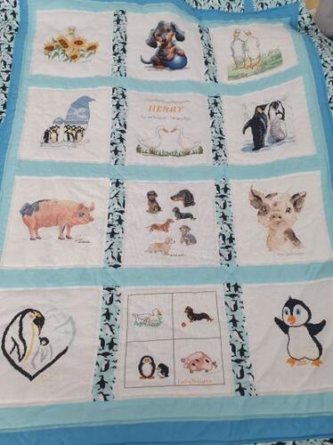 Photo of Henry Cs quilt