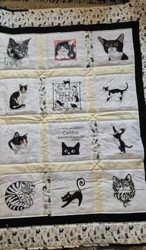 Photo of Caddon Hs quilt