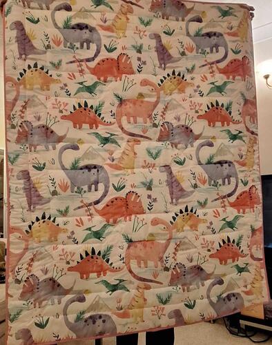 Photo of Nancy Ss quilt