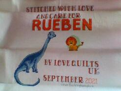 Cross stitch square for Rueben's quilt