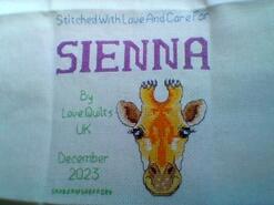 Cross stitch square for Sienna L's quilt