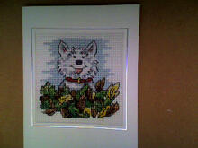 Card for Teddy T