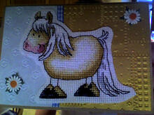 Card for Eleanor N