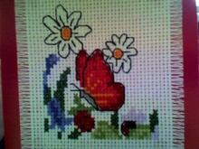Card for Grace O