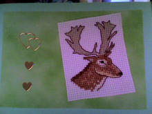 Card for Shannon B