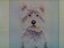 Card for Madeleine A