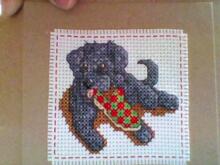 Card for Boy