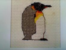 Card for Olly K