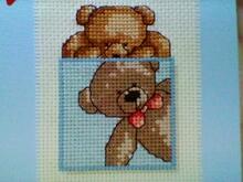 Card for Bray S