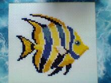 Card for A