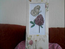 Card for Abigail K