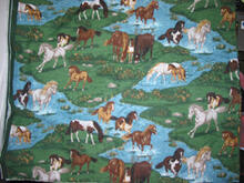 Fabric for Anna-Mae