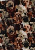 Fabric for Daniel C