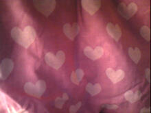 Fabric for Olivia B