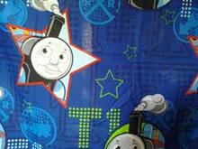 Fabric for Finley G