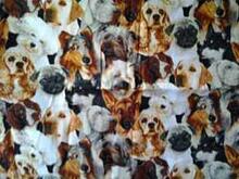 Fabric for Aidan T