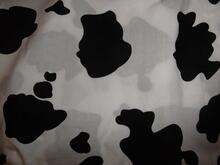 Fabric for Lexi H