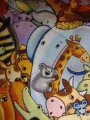 Fabric for Paddy B