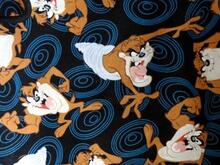 Fabric for Brandon M