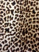 Fabric for Luke B