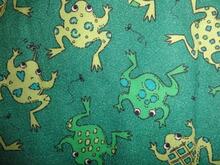 Fabric for Travis B