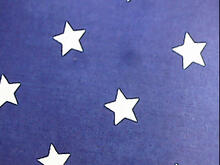 Fabric for Bobby W
