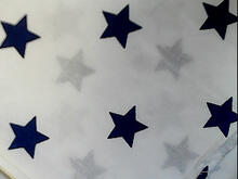 Fabric for James H
