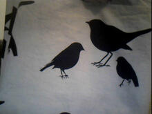Fabric for Jamie W