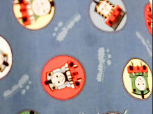 Fabric for Eric A