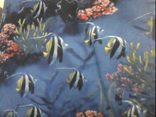 Fabric for George M