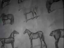 Fabric for Wesley R