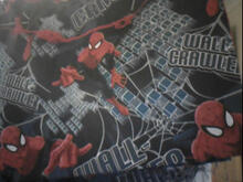 Fabric for Charlie C
