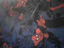 Fabric for Finley R