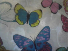 Fabric for Lydia S