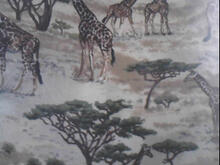 Fabric for Ria S