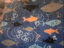 Fabric for Drew C