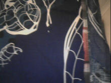 Fabric for Charlie P