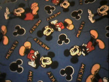 Fabric for Cameron C