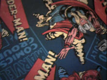 Fabric for Charlie C