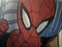 Fabric for Charlie C