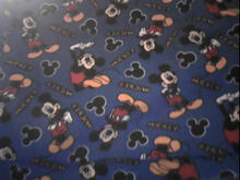 Fabric for Brody K