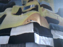 Fabric for Sam H